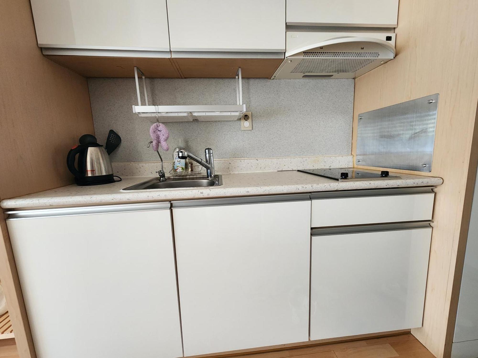Appartement Soons House *